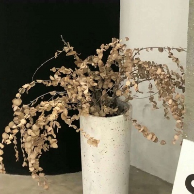 Furry数位绘画实用技巧FurryQQ群